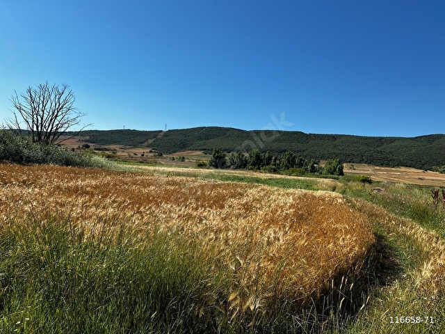 Bekirlide Yatırımlık Tarla 218 m2 Yola Cephe - Görsel 15