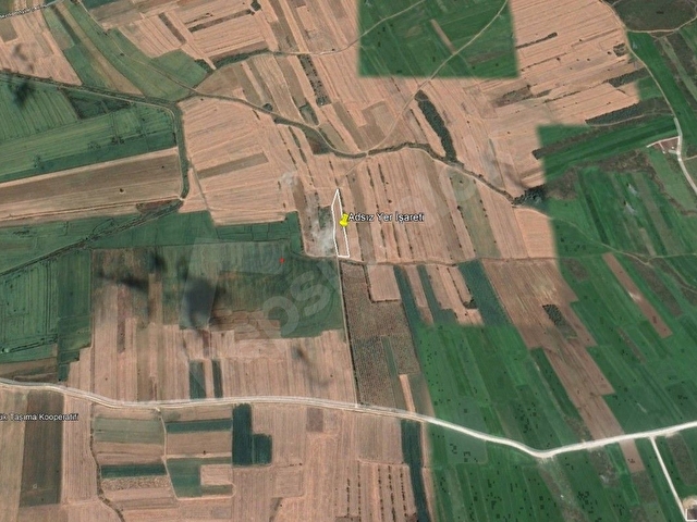 Bekirlide Yatırımlık Tarla 218 m2 Yola Cephe - Görsel 8