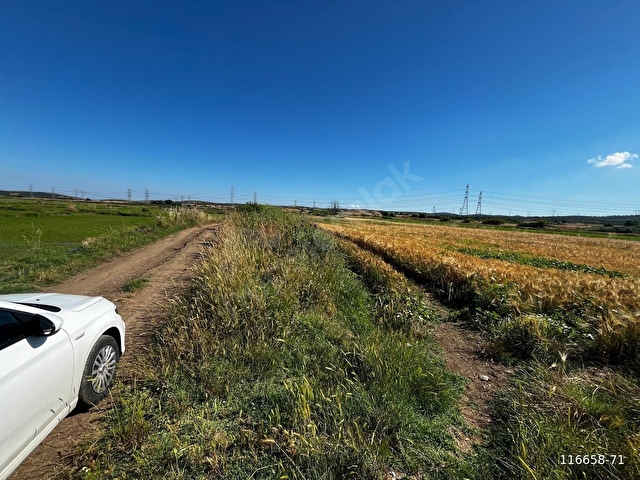 Bekirlide Yatırımlık Tarla 218 m2 Yola Cephe - Görsel 22