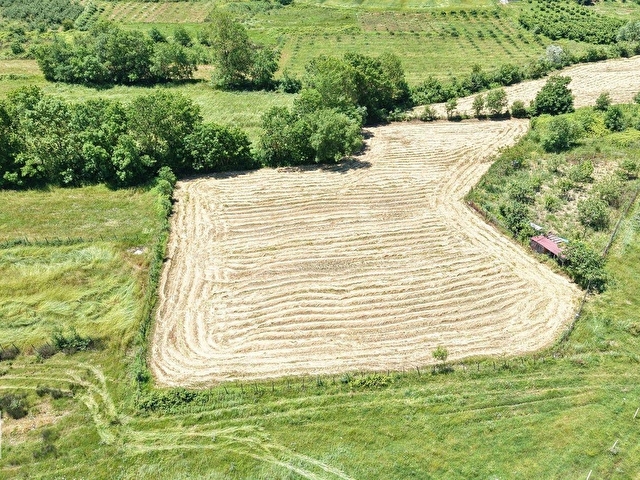 BOLLUDA SEYREK PLAJINA YAKIN 3389 M2 GELİŞEN BÖLGEDE TARLA - Görsel 5