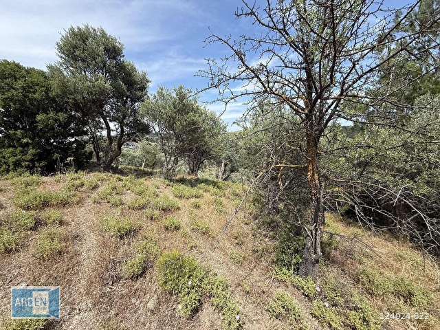 S.Hisar da Baraj Manzaralı 250mt Kadastral Yolu Olan Zeytinlik - Görsel 14