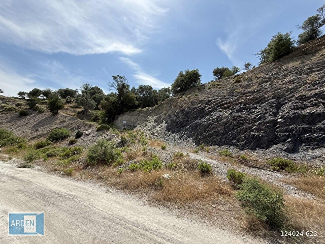 S.Hisar da Baraj Manzaralı 250mt Kadastral Yolu Olan Zeytinlik - Görsel 20