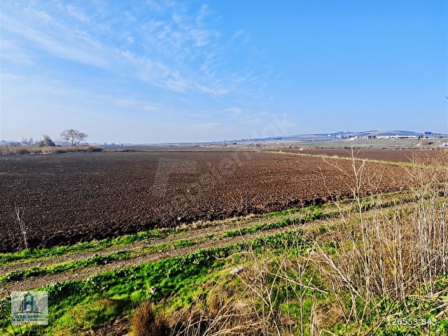 721 m2 Sulu Tarım Çeltik Tarlası, Hobi Bahçesi, Meyve, Bağ-Bahçe - Görsel 27