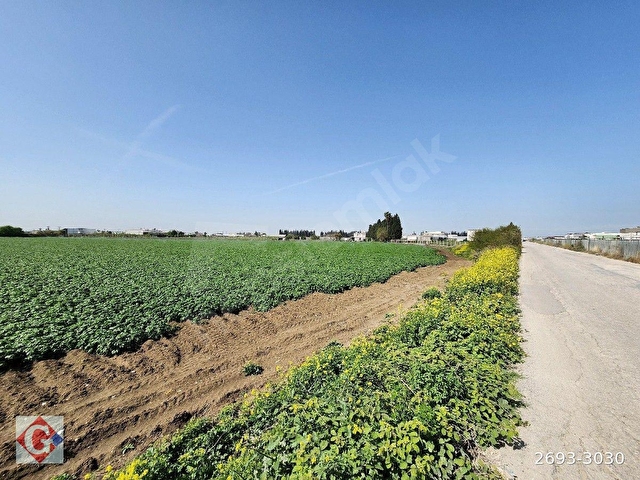 GÖRGÜNDEN YENİ SANAYİ GÜNEYİ 40.819M2 SATILIK KÖŞE PARSEL TARLA - Görsel 7