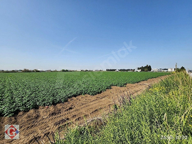 GÖRGÜNDEN YENİ SANAYİ GÜNEYİ 40.819M2 SATILIK KÖŞE PARSEL TARLA - Görsel 11