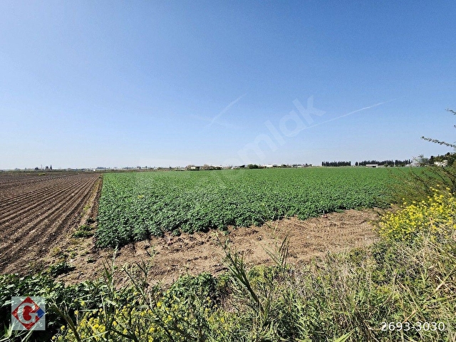 GÖRGÜNDEN YENİ SANAYİ GÜNEYİ 40.819M2 SATILIK KÖŞE PARSEL TARLA - Görsel 19