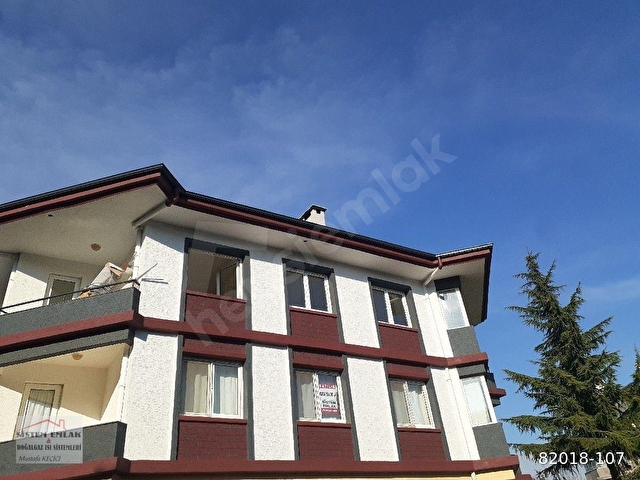 doğa manzaralı doğayla iç içe harika bir daire - Görsel 3