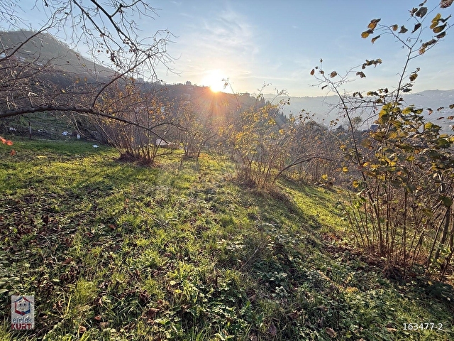 2592m2 UĞURLU Mah. Resmi Yola Cepheli, Toplu Ulaşıma YAKIN, - Görsel 21