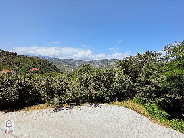 2592m2 UĞURLU Mah. Resmi Yola Cepheli, Toplu Ulaşıma YAKIN,