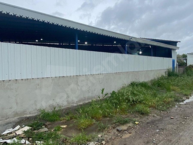 KAFKASTAN KİRALIK BÜYÜKBAŞ HAYVAN ÇİFTLİĞİ - Görsel 13