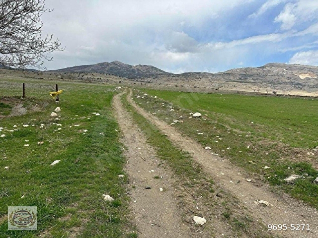 BOZTEPE Aksu Yatırımlık  Kelepir Tarla Mustakil tapu  yolu var acilden satılık FİYATI DÜŞÜR DÜK ? - Görsel 6