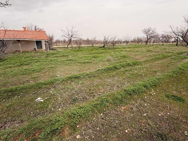 MERAM GÖDENEDE 1.634 m2 İNTİKALDEN BÖLME BAHÇE