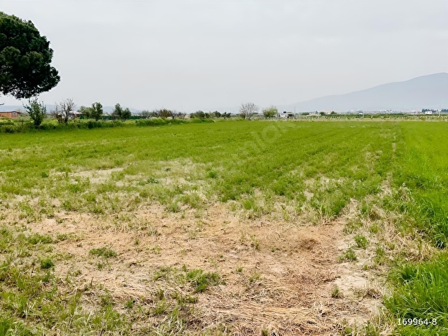 TÜRKELLİDE 1900 METRE TEK TAPU DRANAJLI TARLA - Görsel 14