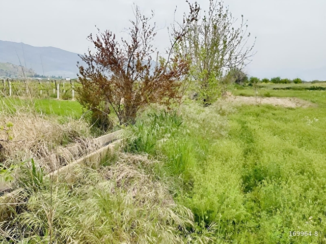 TÜRKELLİDE 1900 METRE TEK TAPU DRANAJLI TARLA - Görsel 2