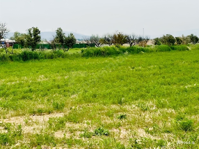 TÜRKELLİDE 1900 METRE TEK TAPU DRANAJLI TARLA - Görsel 11