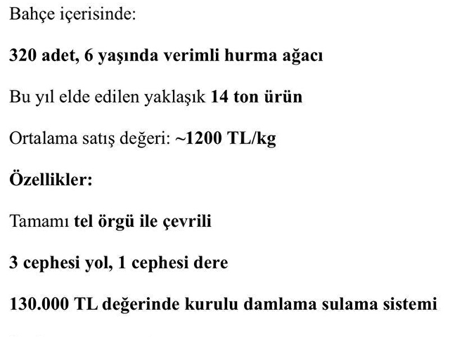 Satılık Hazır Gelir Getiren Hurma Bahçesi Yatırım Fırsatı - Görsel 3