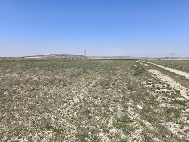 AKSARAY MERKEZ AKÇAKENT 31.601m2 YOLA SIFIR YATIRIMLIK TARLA - Görsel 3
