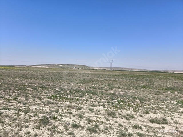 AKSARAY MERKEZ AKÇAKENT 31.601m2 YOLA SIFIR YATIRIMLIK TARLA - Görsel 9