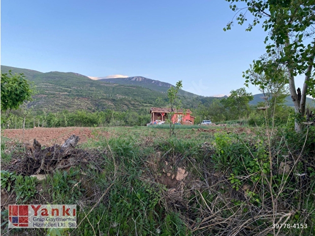 Yankıdan Pazar Erkilet Mh. de Suyu Olan 3.567m2 Bahçeli Bağ Evi - Görsel 8