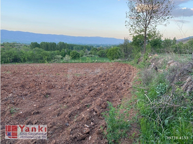 Yankıdan Pazar Erkilet Mh. de Suyu Olan 3.567m2 Bahçeli Bağ Evi - Görsel 19