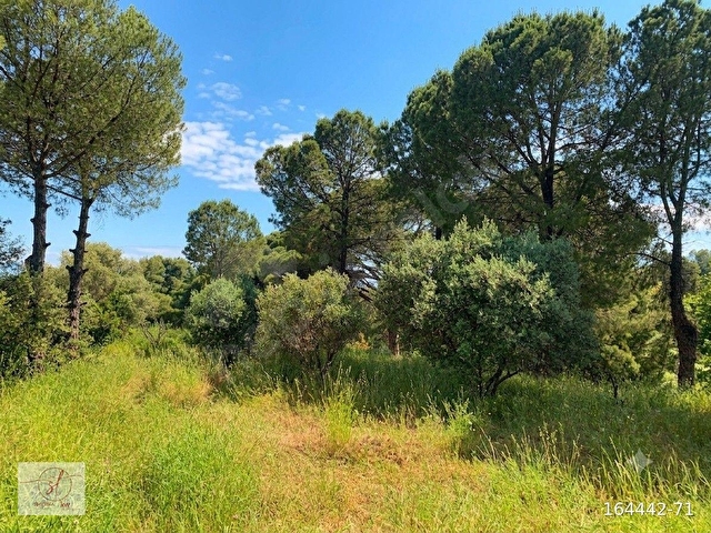 Entelköy Caferli de Panoramik Ova Manzaralı 950 m² Özel Arsa - Görsel 6