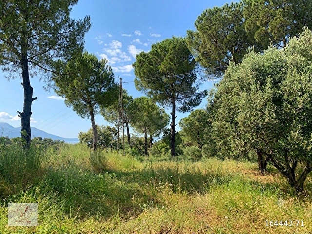 Entelköy Caferli de Panoramik Ova Manzaralı 950 m² Özel Arsa - Görsel 4