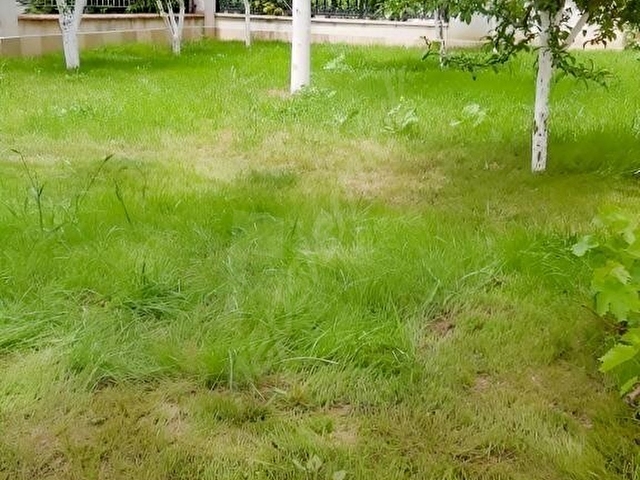 BÜYÜKÇEKMECE GÜZELCEDE KİRALIK MÜSTAKİL DENİZ MANZARALI VİLLA - Görsel 13