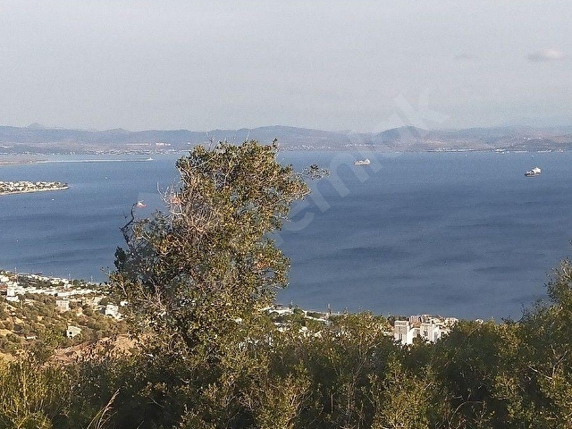 SAADET KORKMAZ Emlaktan Çandarlıda İmara Komşu Muhteşem Manzaralı 3 650 M2 Satılık Zeytinlik - Görsel 3