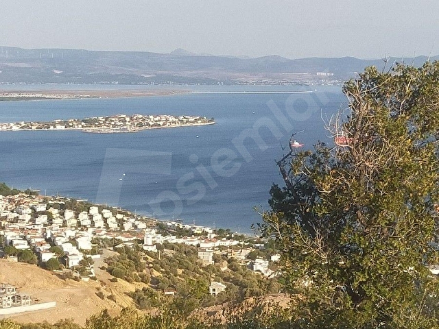 SAADET KORKMAZ Emlaktan Çandarlıda İmara Komşu Muhteşem Manzaralı 3 650 M2 Satılık Zeytinlik - Görsel 4