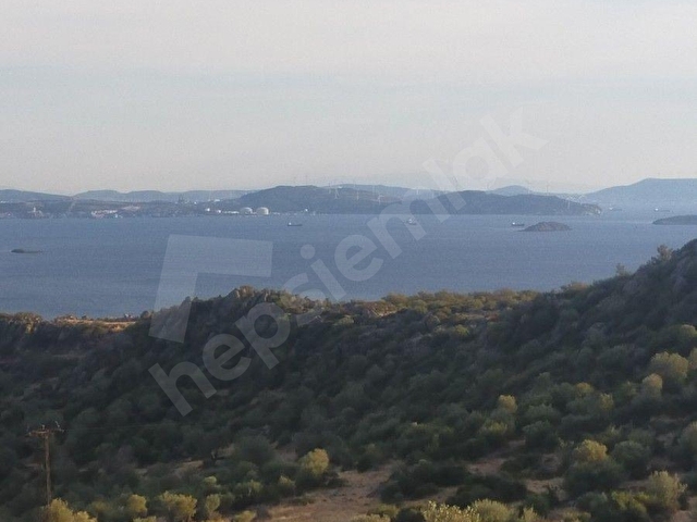 SAADET KORKMAZ Emlaktan Çandarlıda İmara Komşu Muhteşem Manzaralı 3 650 M2 Satılık Zeytinlik - Görsel 26
