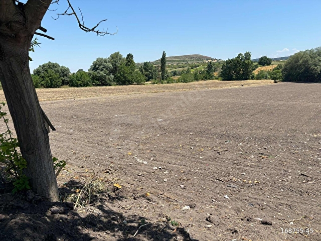 Altıeylül Orhanlı da Üniversiteye Yakın Satılık 1501 m2 Arsa - Görsel 15