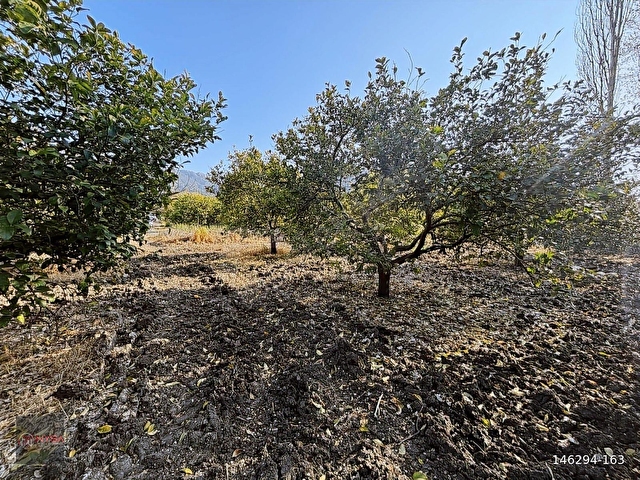 NYSA EMLAKTAN 753 M2 / 250 M2 İNŞAAT İZİNLİ SATILIK ARSA - Görsel 10