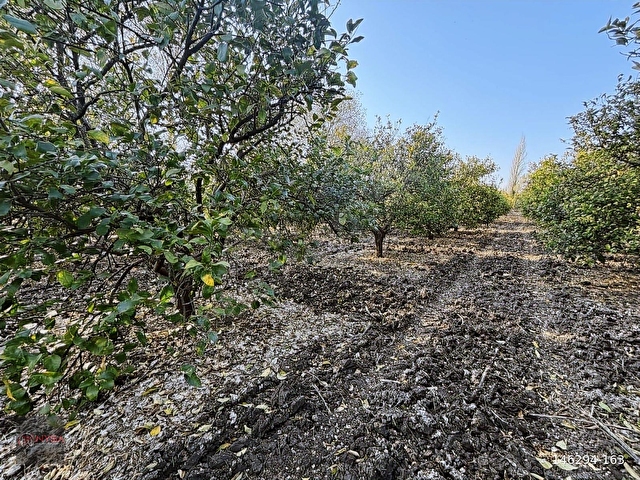 NYSA EMLAKTAN 753 M2 / 250 M2 İNŞAAT İZİNLİ SATILIK ARSA - Görsel 9