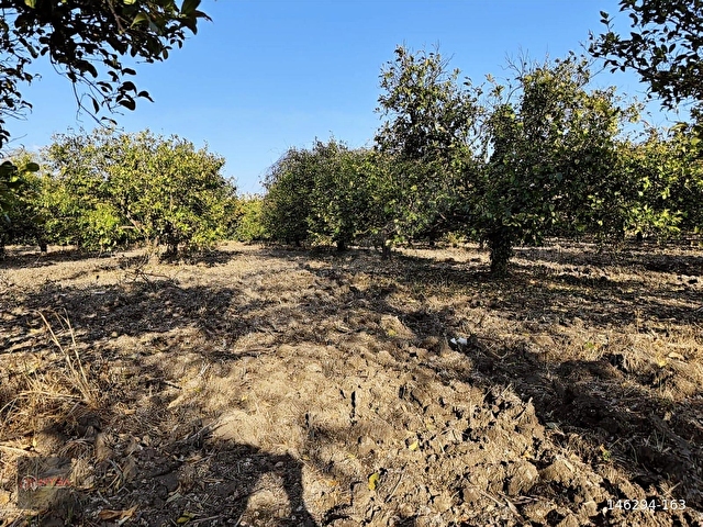 NYSA EMLAKTAN 753 M2 / 250 M2 İNŞAAT İZİNLİ SATILIK ARSA - Görsel 4