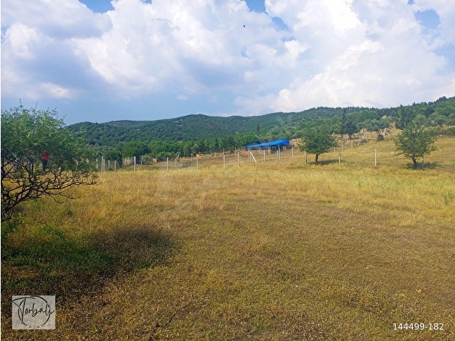 TİRE DEREBAŞI ASFALT YOL CEPHELİ KÖY MERKEZİNE YAKIN 926m2 ARAZİMİZ SATILIKTIR - Görsel 12