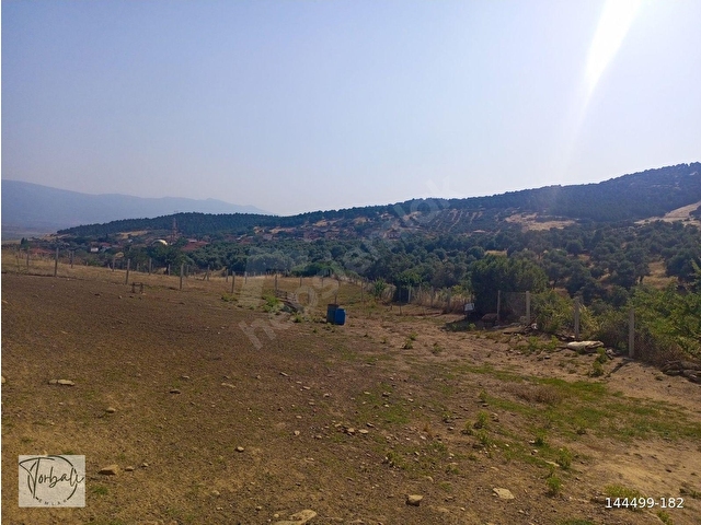 TİRE DEREBAŞI ASFALT YOL CEPHELİ KÖY MERKEZİNE YAKIN 926m2 ARAZİMİZ SATILIKTIR - Görsel 6