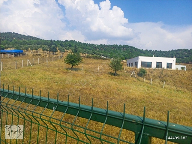 TİRE DEREBAŞI ASFALT YOL CEPHELİ KÖY MERKEZİNE YAKIN 926m2 ARAZİMİZ SATILIKTIR - Görsel 9