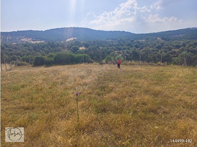 TİRE DEREBAŞI ASFALT YOL CEPHELİ KÖY MERKEZİNE YAKIN 926m2 ARAZİMİZ SATILIKTIR - Görsel 16