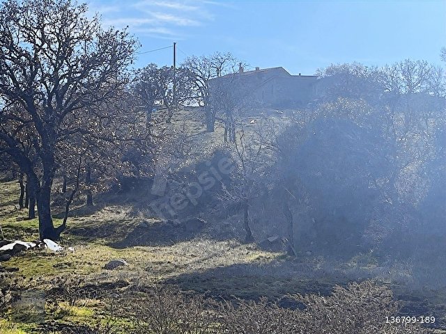 Çanakkale Ayvacık ilyasfakı köyünde satılık arsa - Görsel 16