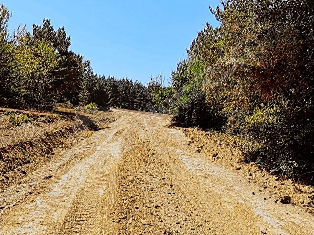 SEYDİLER DEMİRCİÖZÜ SATILIK 4.638 M2 TARLA KÖYE 150 METRE - Görsel 7