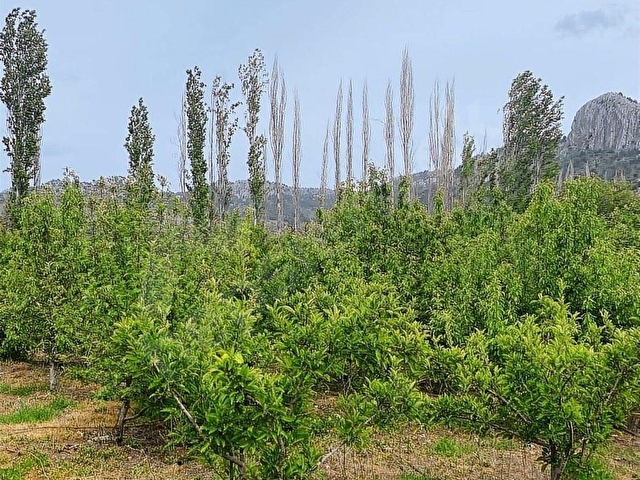 SORGUNDA MERKEZİ KONUMDA 3.372M2 FIRSATI !! - Görsel 17