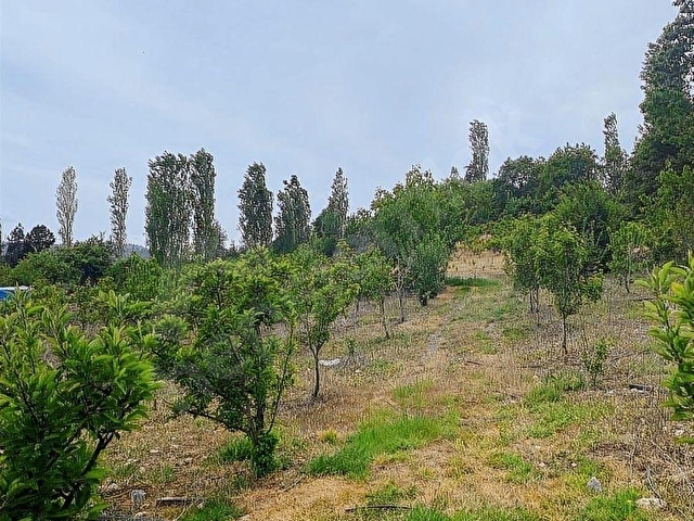 SORGUNDA MERKEZİ KONUMDA 3.372M2 FIRSATI !! - Görsel 12