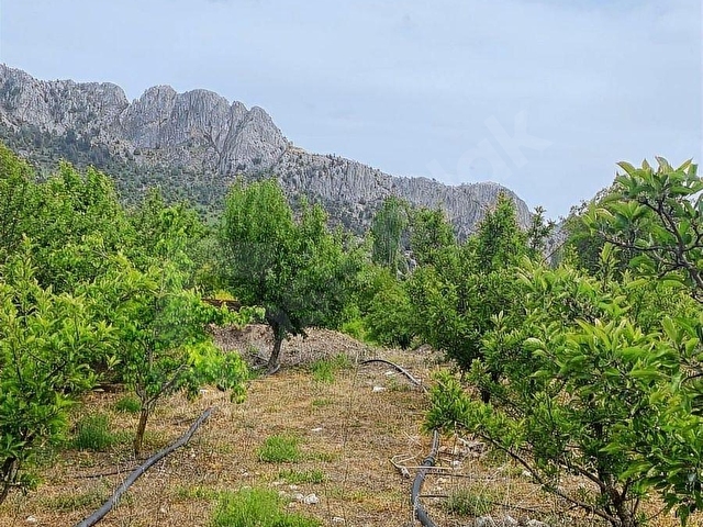 SORGUNDA MERKEZİ KONUMDA 3.372M2 FIRSATI !! - Görsel 9