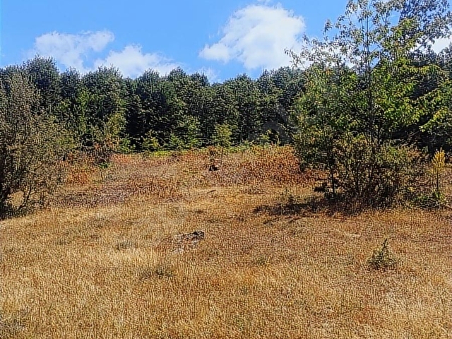 BİLECİK PAZARYERİ (KUPON) FİRSAT ARSA ARAÇ TAKASLİ SATLIK 3628M2 - Görsel 11