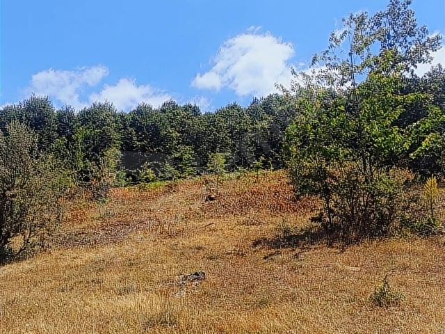 BİLECİK PAZARYERİ (KUPON) FİRSAT ARSA ARAÇ TAKASLİ SATLIK 3628M2 - Görsel 12