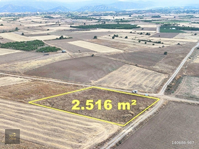 BEYŞEHİR GÖL MANZARALI 2.516 M² KÖŞE PARSEL MÜSTAKİL TARLA - Görsel 4