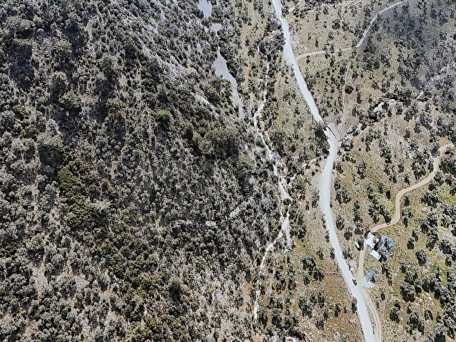 Muğla Milas Pınarcık mahallesinde fırsat zeytinlik - Görsel 20