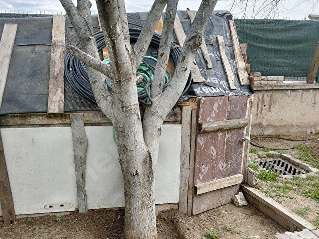 Etimesgut Alsancak Mah Müstakil Satılık Villa - Görsel 29