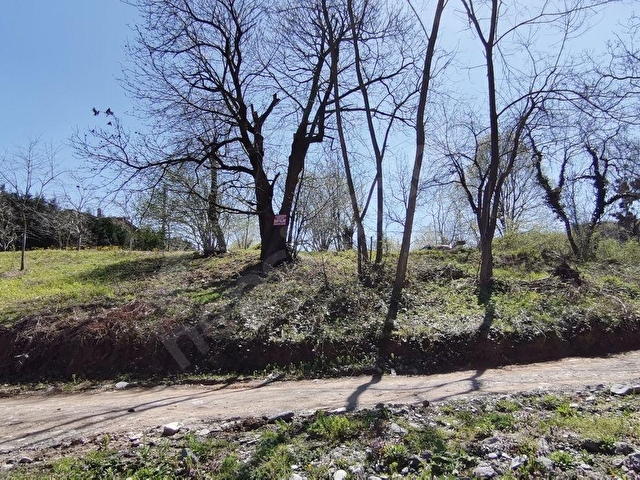 SAKARYA SAPANCA BUNGALOVLUK KİRALIK ARSA - Görsel 2