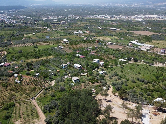 İzmir Kemalpaşa Armutluda 6000 m² Zeytinli Bağ | Yola Cepheli S - Görsel 5